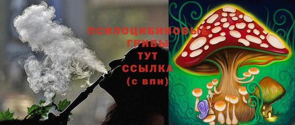 метадон Осташков
