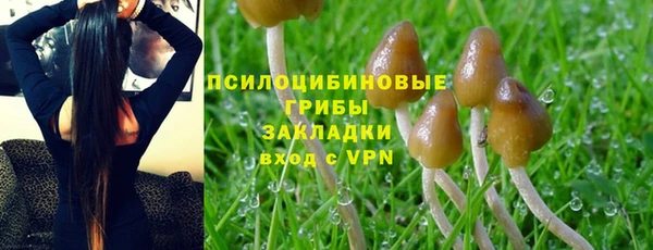 ешки Остров