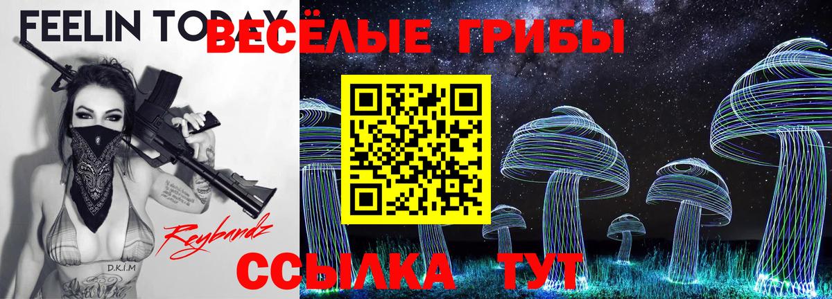 Псилоцибиновые грибы мицелий  Вход с VPN  Псилоцибиновые грибы GOLDEN TEACHER  Балабаново 